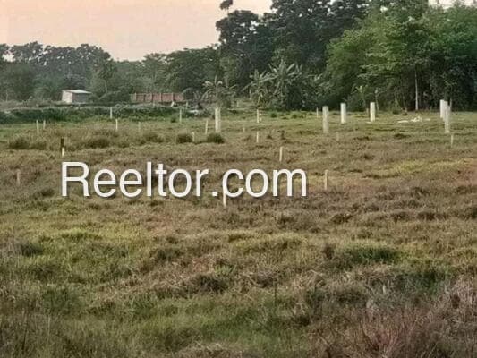 Buy 4 Bhk In Jispa Lahaul