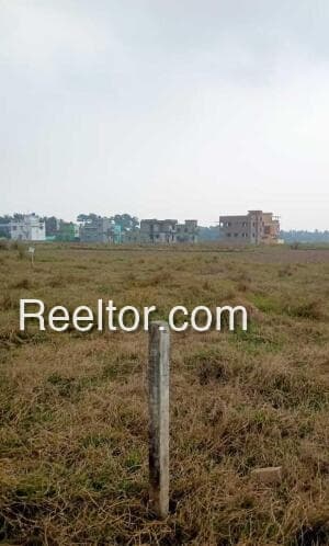 3 Bhk For Sale In Pawaiya Kothar Raghurajnagar Nagareey