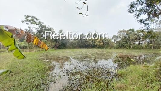 Plot For Sale In Tulsipur