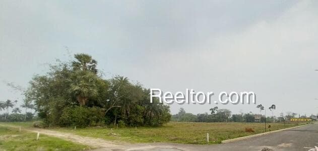Plots For Sale In Jhawtala Krishnagar
