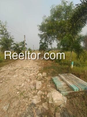 Plot For Sale In Soyagaon