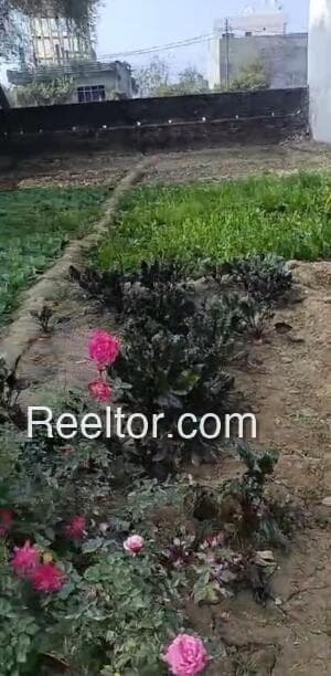 Plot For Sale In Soyagaon